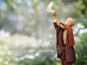 Young Buddhist Monk