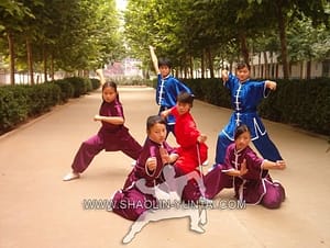 Teenager Wushu Training